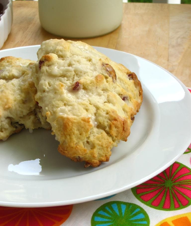 Secret Garden Recipe Buttermilk Cranberry Scones Willow Bird Baking